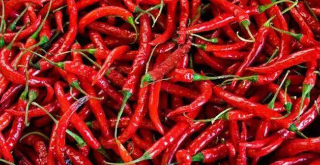 Market fiyatı tarlanın 5 katı! Kansere kalkan oluyor kalp krizini durduruyor - Resim: 11